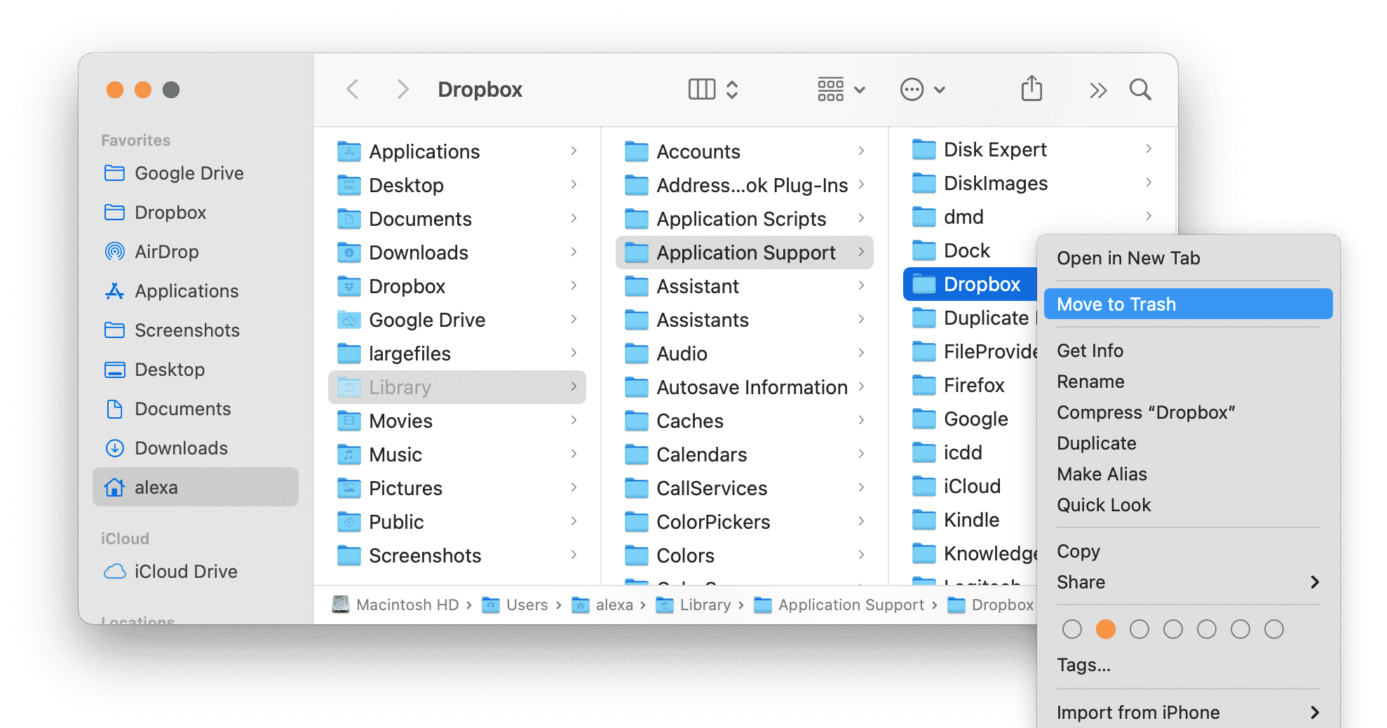 Bibliothèque montrant les fichiers de prise en charge de Dropbox