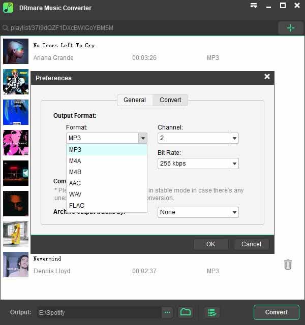 set spotify to mp3