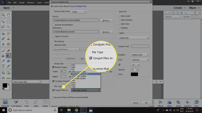 The File Type options