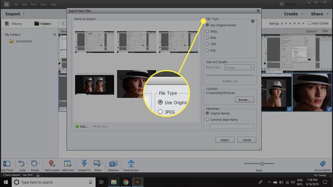 The File Type menu
