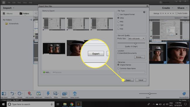 The Export button