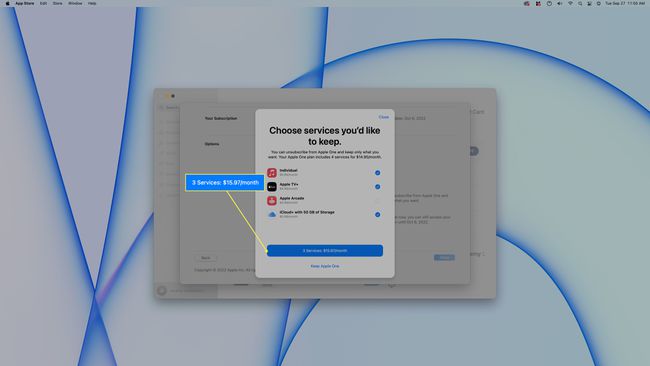 The blue accept button highlighted in Apple One service selection.