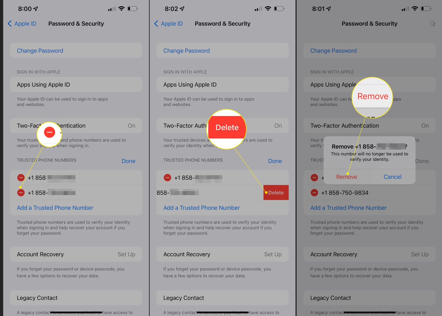 iOS Password & Security settings with minus sign, Delete, and Remove highlighted