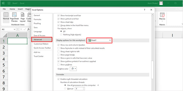 Excel Advanced Option