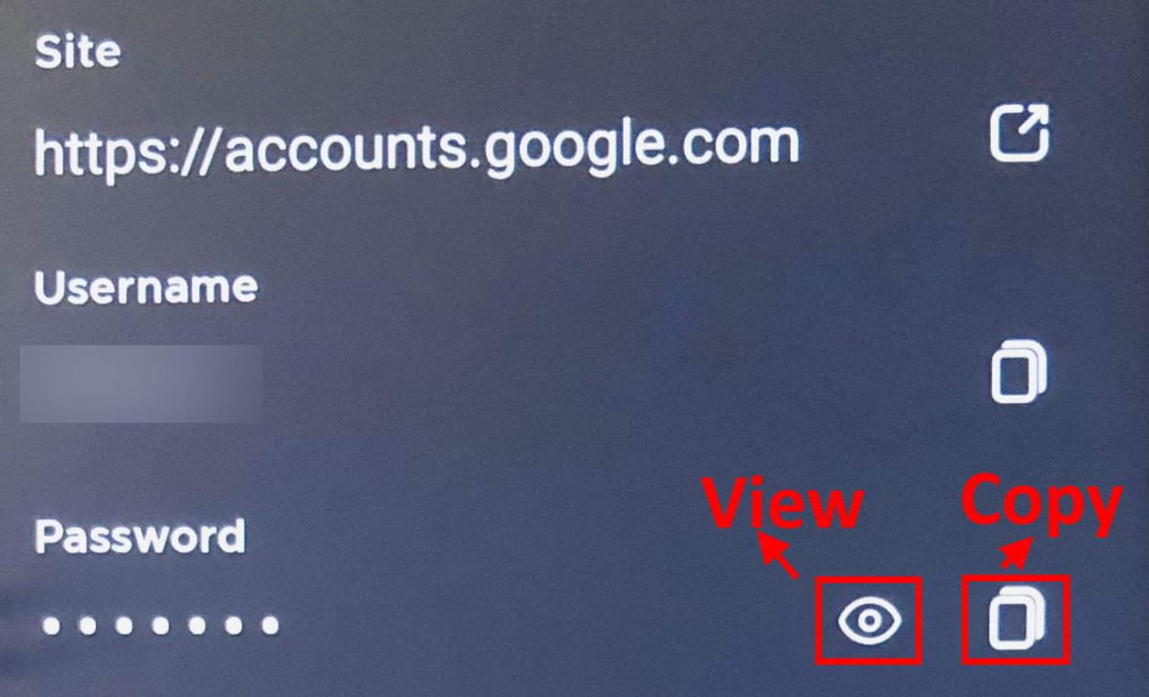 FirefoxMobileViewCopyPassword