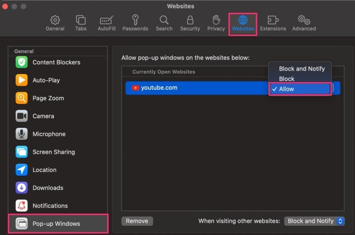 Allow Pop-up on Safari
