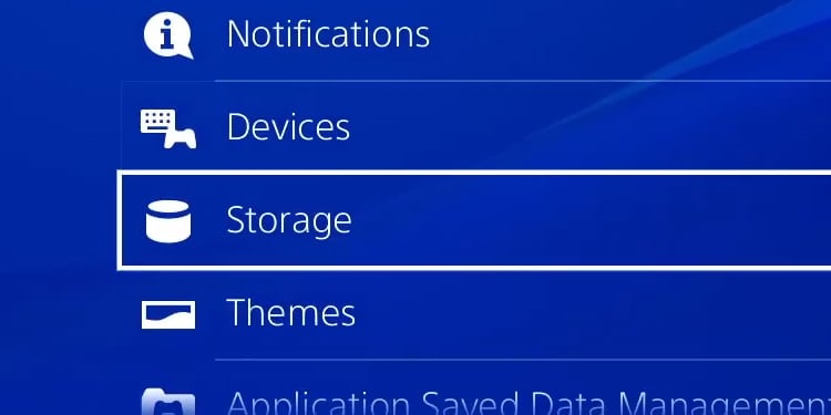 storage ps4